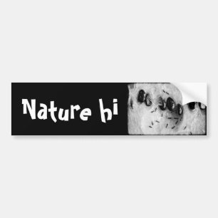 surfing ants bumper sticker