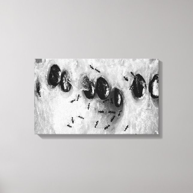 surfing ants canvas print (Front)