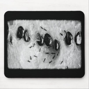 surfing ants mouse pad