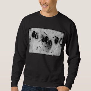 surfing ants sweatshirt