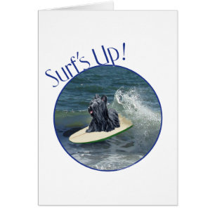 Surfing Skye Terrier