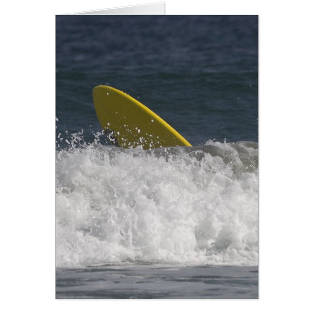 Surf's Up! (Front)