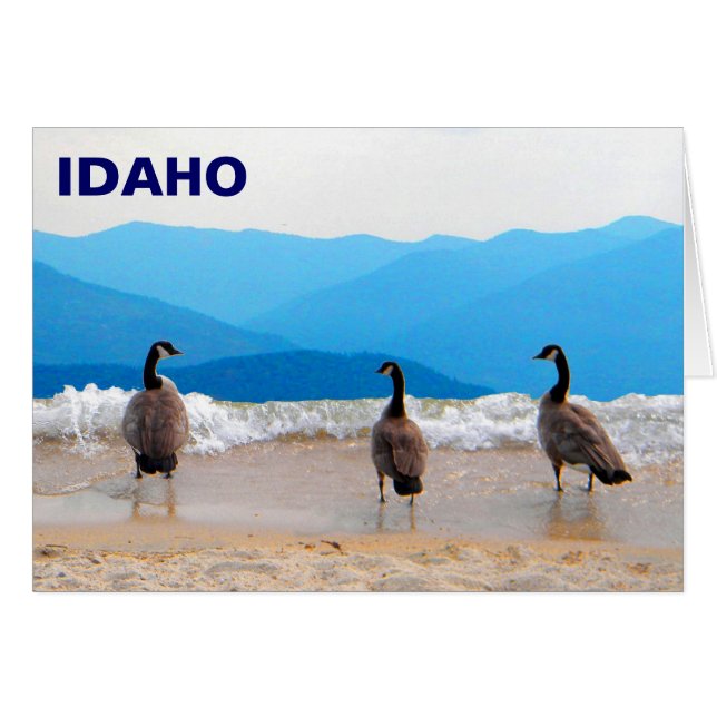 Surf's Up! - Geese (Front Horizontal)