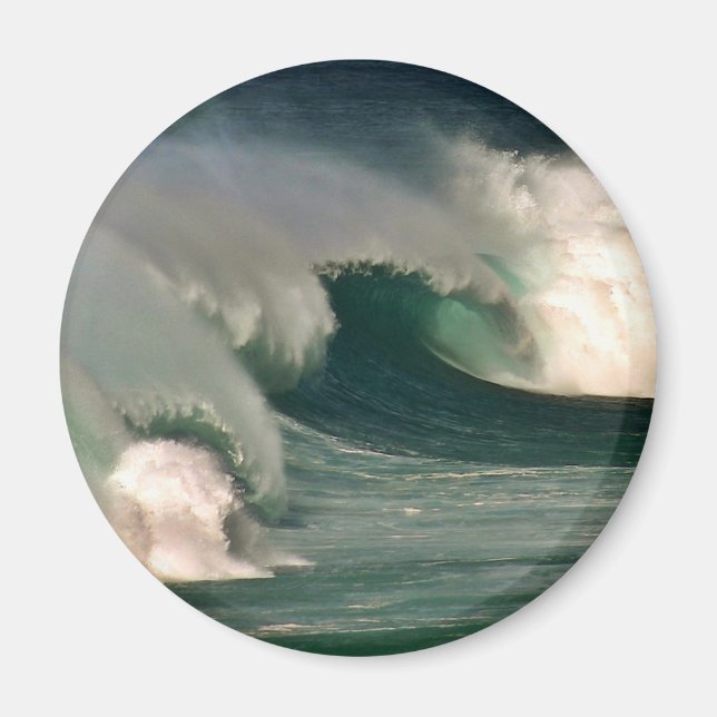 Surf's Up! Magnet (Front)