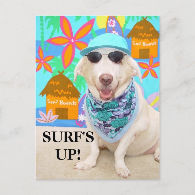 SURF'S UP! POSTCARD (Front)