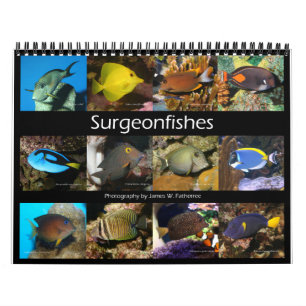 Surgeonfishes Wall Calendar  by J.W. Fatherree.