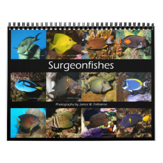 Surgeonfishes Wall Calendar by J.W. Fatherree.