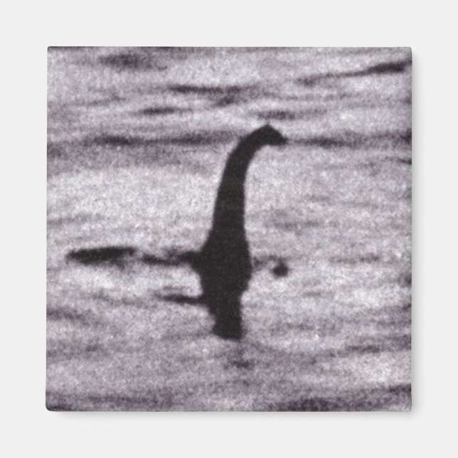 Surgeon's Photo Magnet (Front)