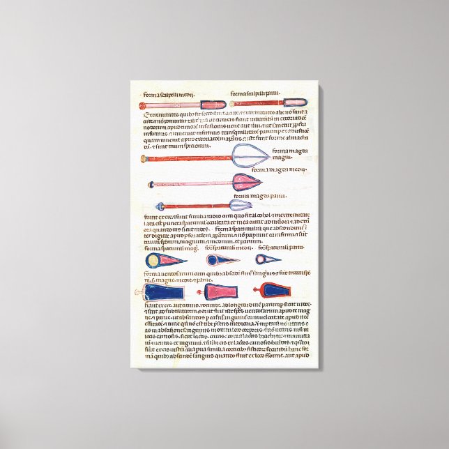 Surgical instruments from a treatise canvas print (Front)