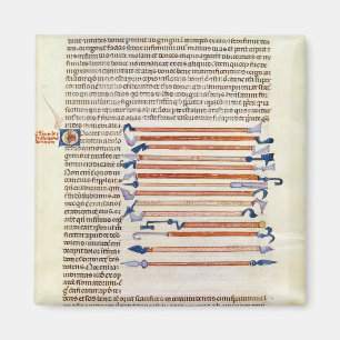 Surgical instruments from a treatise magnet