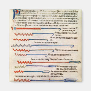 Surgical instruments from a treatise magnet