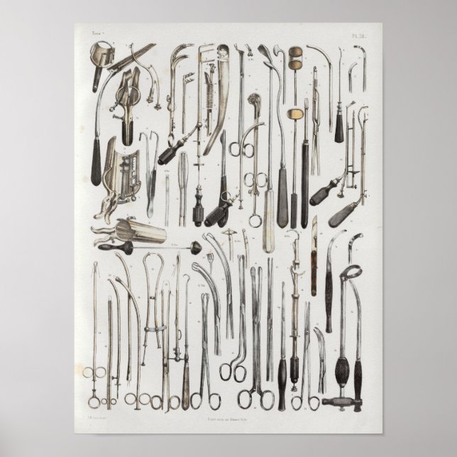 Surgical Medical Instruments Vintage Anatomy Print (Front)