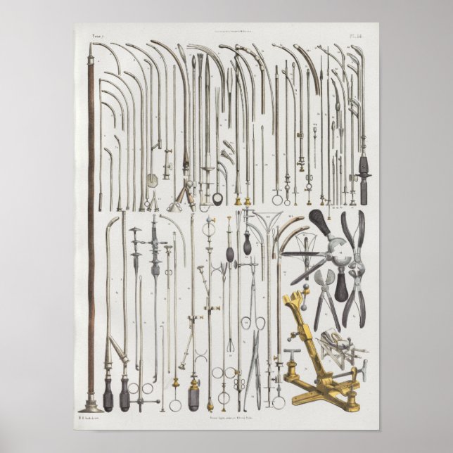 Surgical Medical Instruments Vintage Anatomy Print (Front)