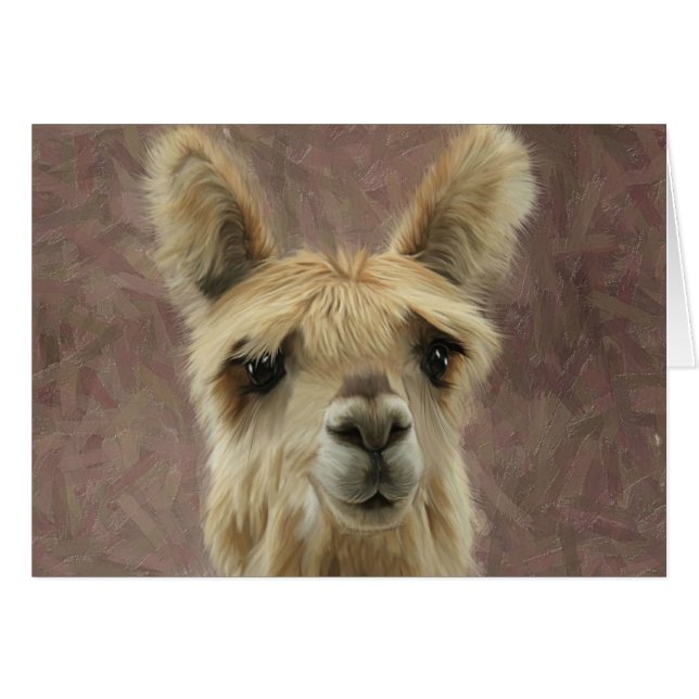 Suri Alpaca (Front Horizontal)