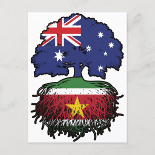 Suriname Surinamese Australian Australia Tree Root Postcard