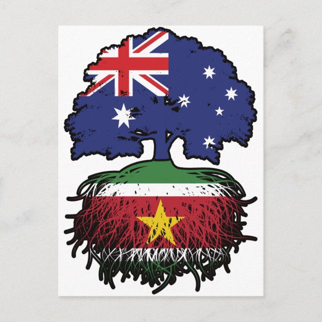 Suriname Surinamese Australian Australia Tree Root Postcard (Front)
