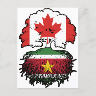 Suriname Surinamese Canadian Canada Tree Roots Postcard