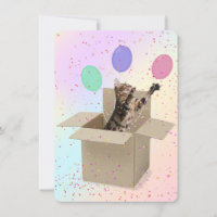 Surprise Birthday Party Bengal cat in box