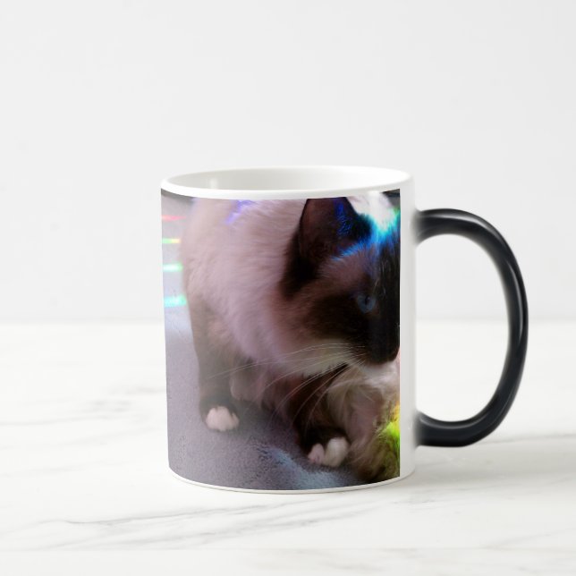 Surprise! CatM Magic Mug (Right)