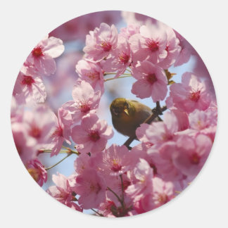 surprise! classic round sticker