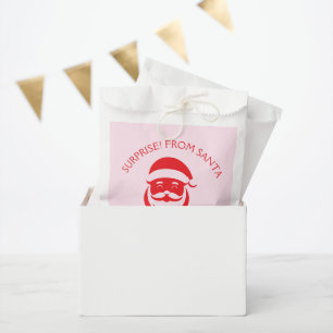 Surprise From Santa Favour Bags