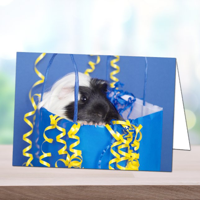 Surprise Guinea Pig Greeting Card (Creator Uploaded)