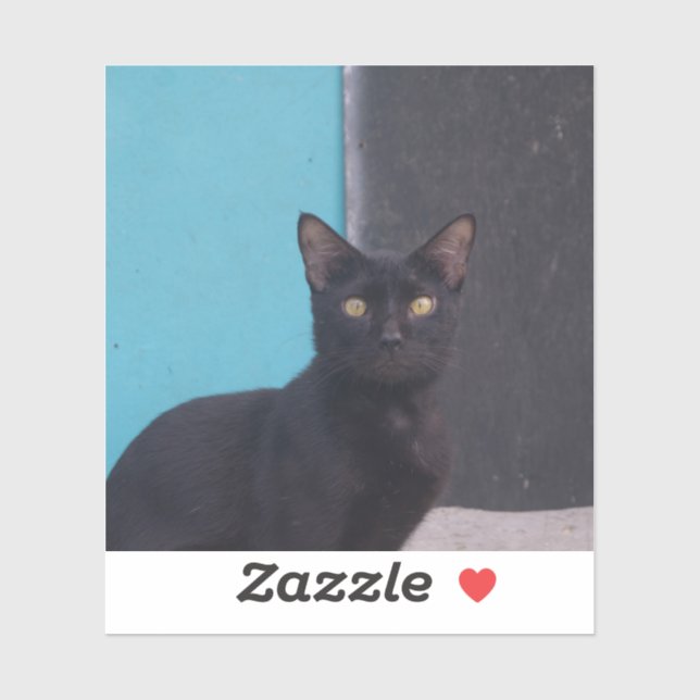 Surprised Black Cat (Sheet)