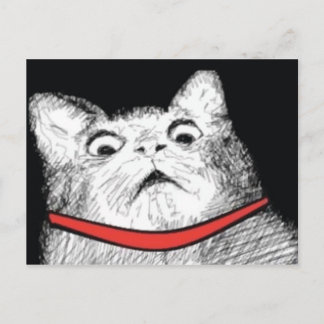 Surprised Cat Gasp Meme - Postcard