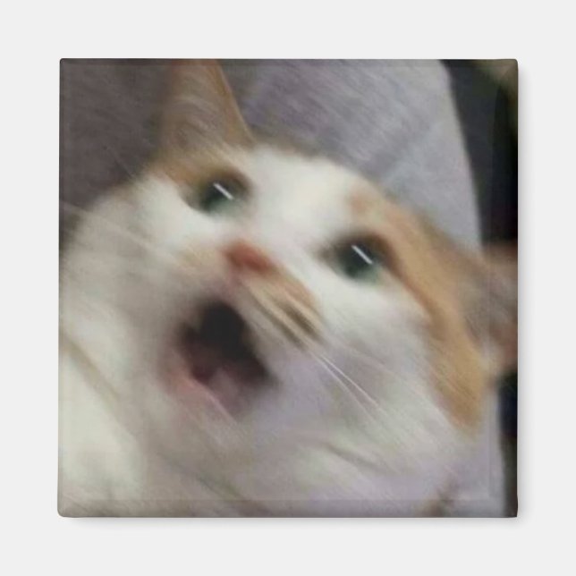Surprised cat meme magnet (Front)