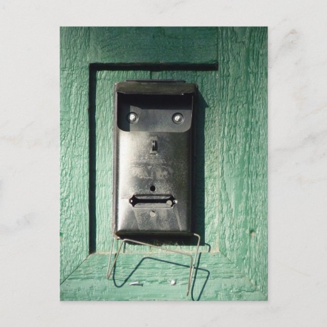Surprised Mailbox Postcard (Front)
