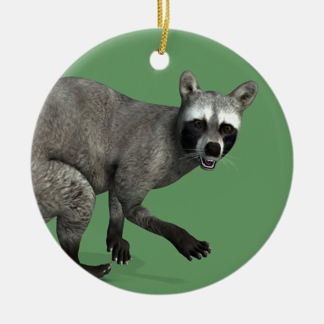 Surprised Racoon Ceramic Tree Decoration (Front)