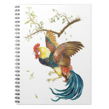 Surprised Rooster