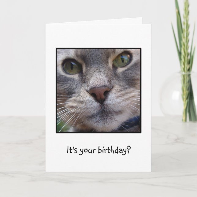 Surprized Cat, It's your birthday? Card (Front)