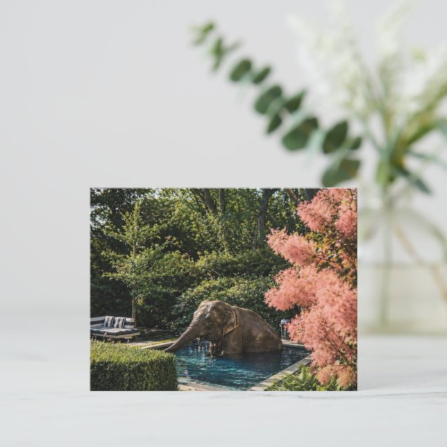 Surreal Beautiful Elephant in the pool Postcard (Standing Front)