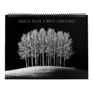 Surreal Black & White Landscapes Calendar