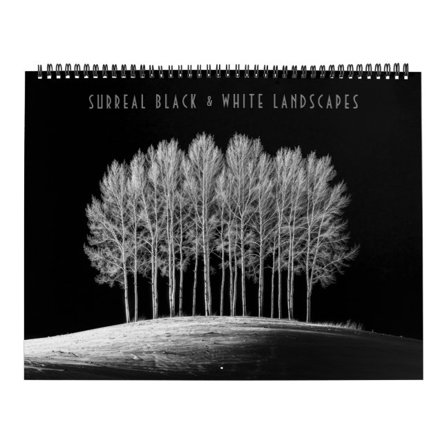 Surreal Black & White Landscapes Calendar (Cover)