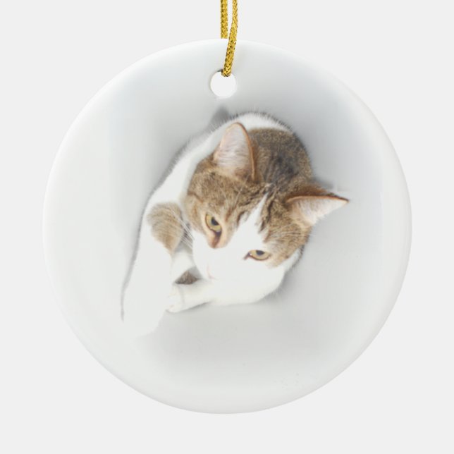 Surreal Cat in the Light Ceramic Tree Decoration (Front)