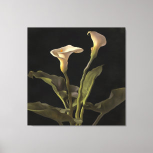 Surreal Easter Lilies On A Black Background  Canvas Print