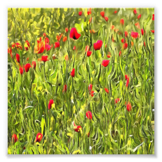 Surreal Hypnotic Poppies Photo Print