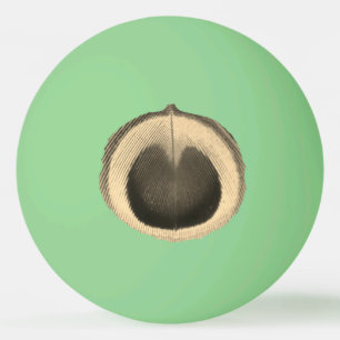 Surreal Peacock Eye Ping Pong Ball