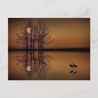 Surrealism Post Card