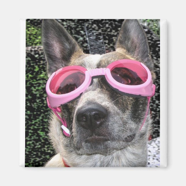 Surrey Magnet (Front)