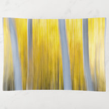 Surrounded by Aspen trees