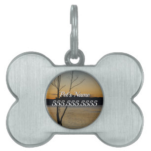 Surrounded Pet ID Tag