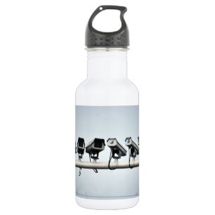 Surveillance Cameras 532 Ml Water Bottle