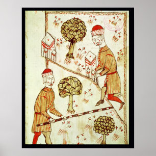 Surveying and demarcation of land poster