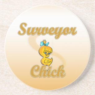 Surveyor Chick Coaster