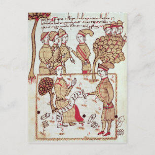 Surveyor with his Workers Postcard