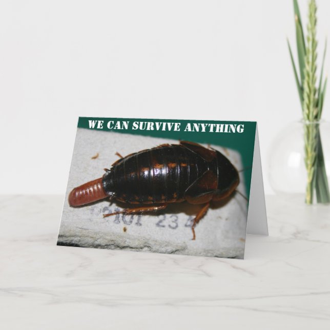 Survive Anything Anniversary Cockroaches Card (Front)