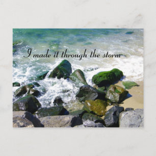 Survived_ Postcard